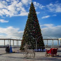 Ёлка :: Анатолий Чикчирный