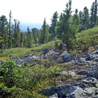 Курум начинается. :: ВикТор Быстров