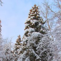 ... :: Владимир иванов