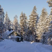 Зима :: yav 110455