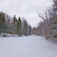 Лесная речка :: Лия ☼