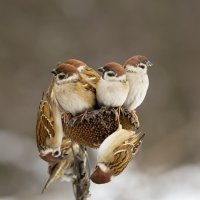 Всем места хватит :: Валерий Черняк