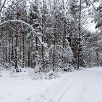 Про смоленскую зиму. :: Милешкин Владимир Алексеевич Про смоленскую зиму. :: Милешкин Владимир Алексеевич
