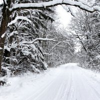 Зимний пейзаж. :: Милешкин Владимир Алексеевич 