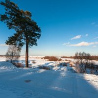 ... :: василий ... :: василий
