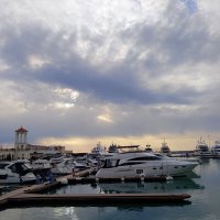 Порт Сочи :: Tata Wolf Порт Сочи :: Tata Wolf