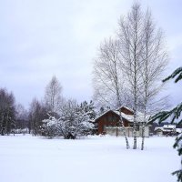 Зима за городом :: Татьяна Тюменка