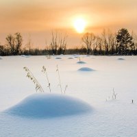 Февральское утро. :: Михаил Белоусов
