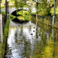 В парке :: Лариса С. В парке :: Лариса С.