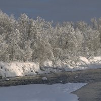 ... :: Жора Житников