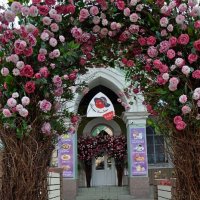 ВЫБОРГ. :: Виктор Осипчук