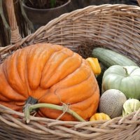 Осенний урожай :: ZNatasha -