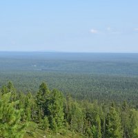 Лес позади. :: ВикТор Быстров