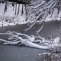 Парк Южный, Калининград :: Рита Симонова