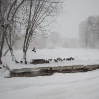 Городские картинки :: Владимир Носов