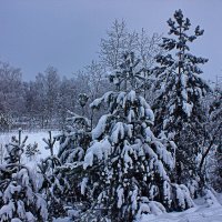 Зима :: Евгений Корьевщиков