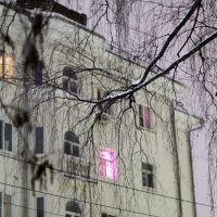 ветвь березы трещиной расколола дом :: Артём 