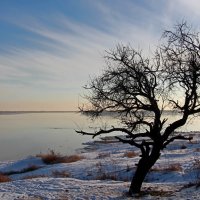 Январь :: Олегъ Петрович