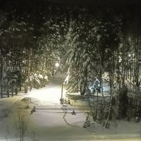 замело снегом вход в парк :: Владимир 