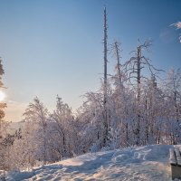 ****** :: Вячеслав Овчинников ****** :: Вячеслав Овчинников