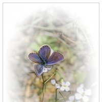 *  *  * :: Андрей Бобин