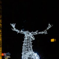 Новогодние украшения города Курска. :: Руслан Васьков