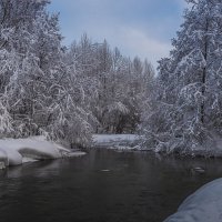 ... :: Жора Житников