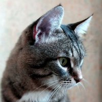 Задумался... :: Наталья ***