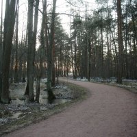 Парк Александрия :: Наталья Герасимова