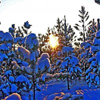 Декабрь...Снежно-морозное утро! :: Владимир 