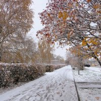 Октябрь :: Лариса С. Октябрь :: Лариса С.