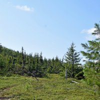 Тропа. :: ВикТор Быстров