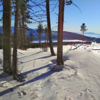 На Семинском перевале :: Татьяна Лютаева