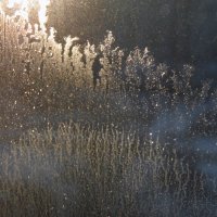 Рисунки на стекле. :: nadyasilyuk Вознюк