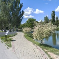 Лето в парке  Гагарина :: Валентин Семчишин