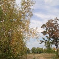 летний парк :: Елена Шаламова