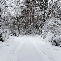 Про смоленскую зиму. :: Милешкин Владимир Алексеевич 