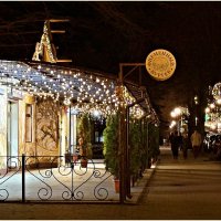 Прогулка по Светлогорску. :: Валерия Комова