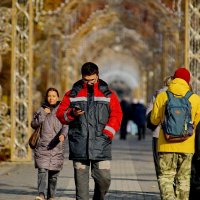 Украшение улицы... :: Николай Саржанов