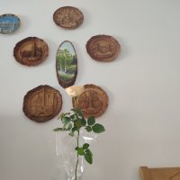 " :: Светлана Хращевская