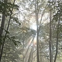 Свято - Михайловский афонский мужской монастырь, Адыгея :: Екатерина Леш