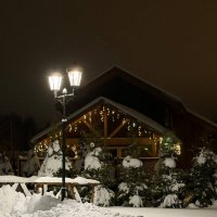 А за городом зима,зима, зима... :: Pippa 