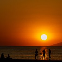 Театр силуэтов :: игорь щелкалин