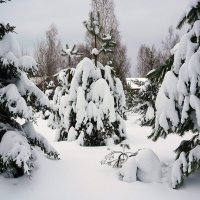 Замело... :: Татьяна Тюменка