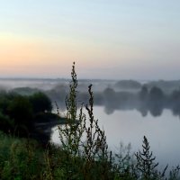 Утренний туман на трассе М8 :: Игорь Корф Утренний туман на трассе М8 :: Игорь Корф