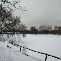 Сезон нецветной фотографии в разгаре :: Андрей Лукьянов