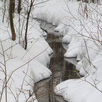 Лесной ручей :: Лариса С. Лесной ручей :: Лариса С.