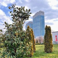 Зелёный город Ташкент :: Георгиевич 