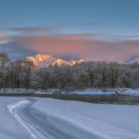 ... :: Жора Житников