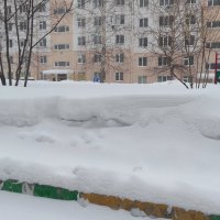 Наше снежное "богатство" :: Татьяна Лютаева